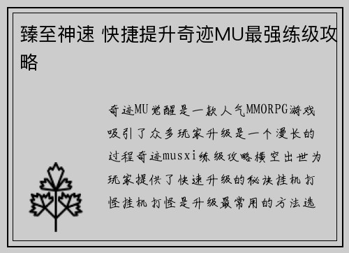臻至神速 快捷提升奇迹MU最强练级攻略