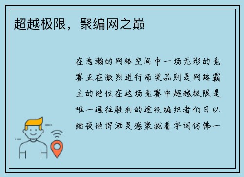 超越极限，聚编网之巅